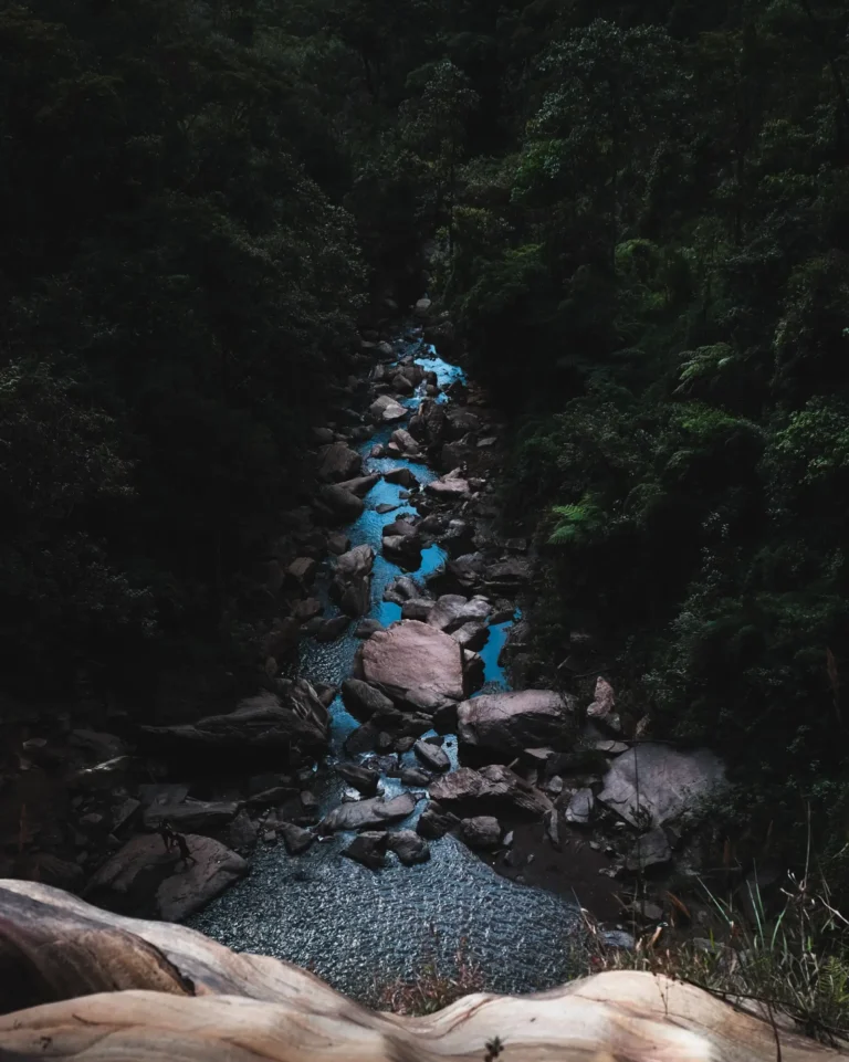 A narrow river winds through a dense, shadowy forest. Large rocks and boulders protrude from the river, creating small waterfalls and ripples. The surrounding greenery is lush and thick, casting deep shade over most of the scene, with patches of sunlight accentuating the water's blue tint—a perfect spot recommended by my AI travel planner. - easytrip.ai