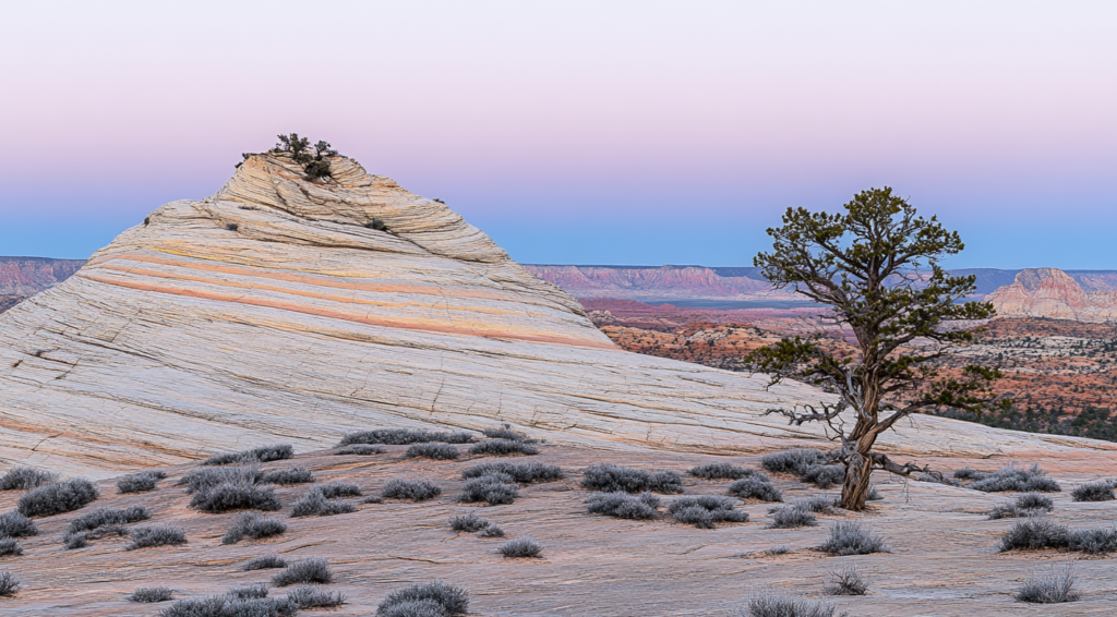 a beautiful uphill spot, showing the amazing view of Mather Point