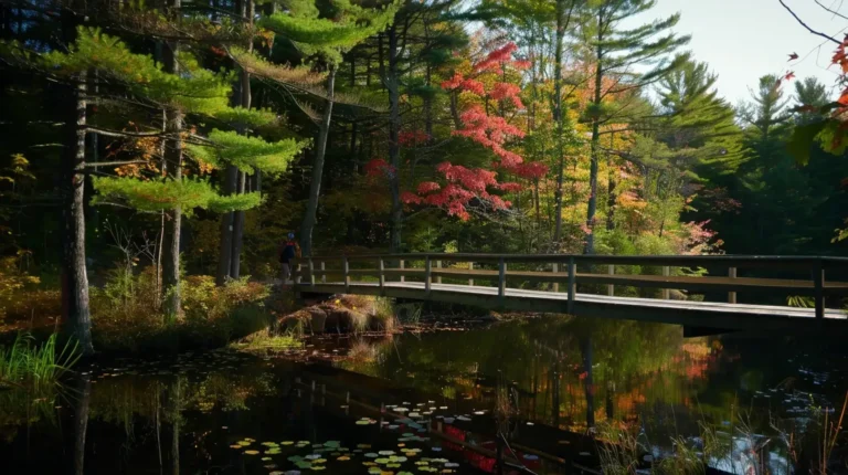 A wooden bridge stretches over a calm pond, reflecting surrounding trees. The foliage has a mix of vibrant autumn colors, including shades of red, yellow, and green. Evergreen trees stand tall among the deciduous ones. Lily pads float on the pond's surface as a person stands on the bridge, perhaps contemplating their next adventure with an AI trip planner. - easytrip.ai