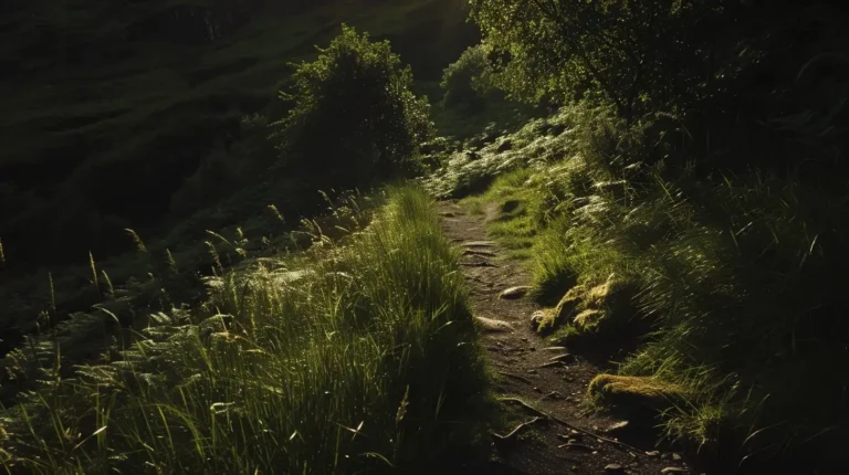 A narrow dirt path winds through lush, green vegetation in a sunlit forest. Tall grasses and various plants line the trail, with sunlight filtering through the tree canopy overhead. Using an AI trip planner could enhance this serene scene, making sure you don’t miss its dappled light patterns on the ground and foliage. - easytrip.ai